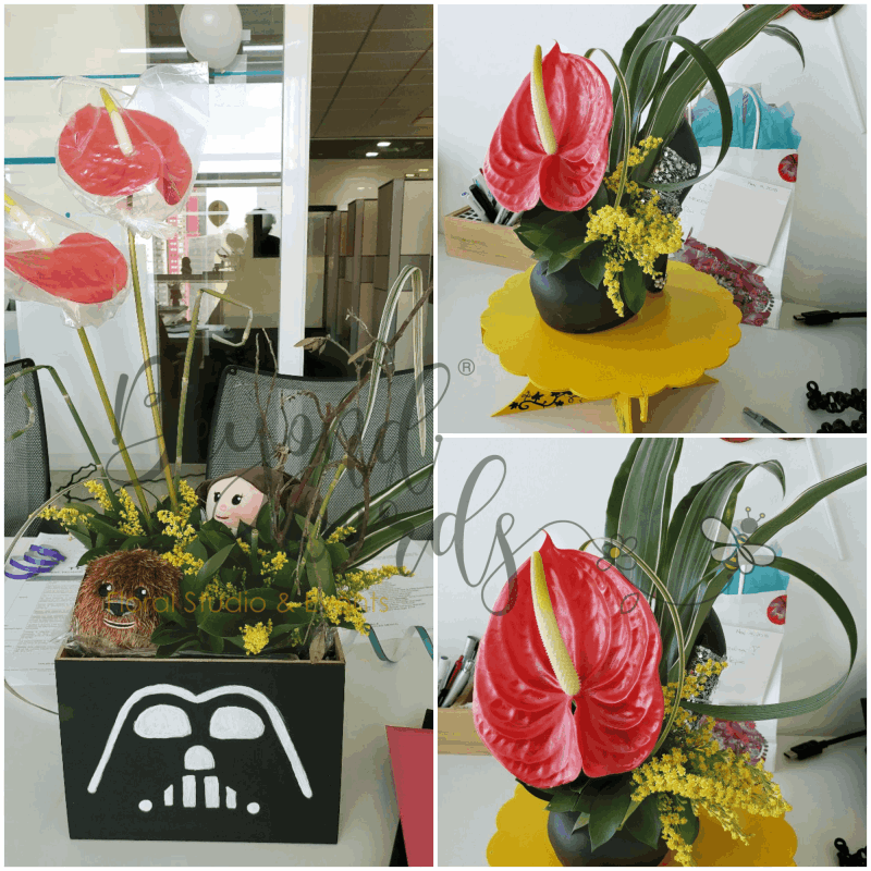 STARWARS & SHOE COLLAGE